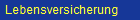 Lebensversicherung